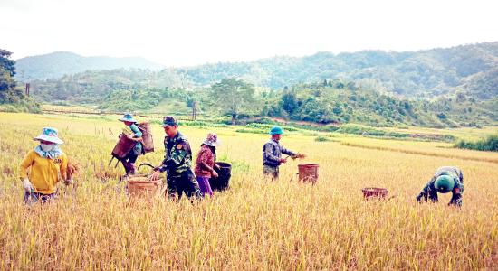 Bộ đội Biên phòng tỉnh Kon Tum: Kết quả công tác vận động quần chúng năm 2019 trên địa bàn các xã biên giới